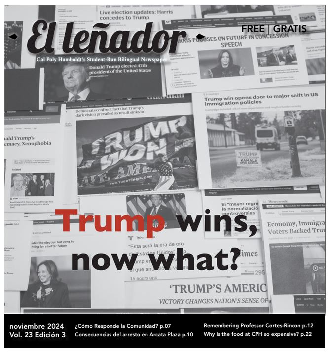 Newspaper front page cover of collage with headlines announcing Trump win and other election-related headlines